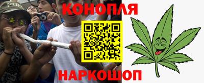 сатива Коммунар