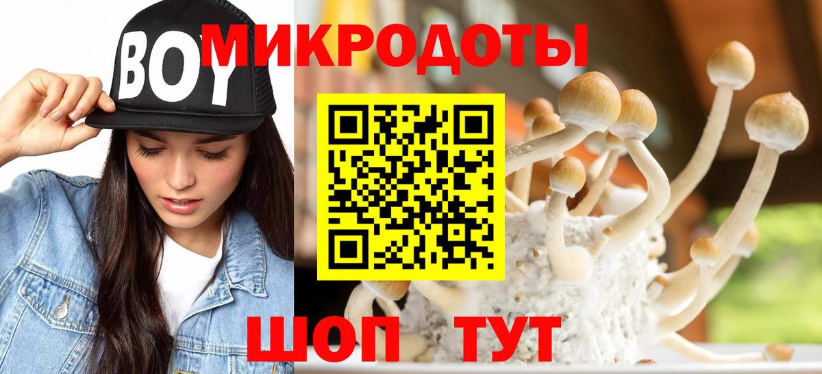 Псилоцибиновые грибы GOLDEN TEACHER Бирск